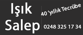 Logo alt
